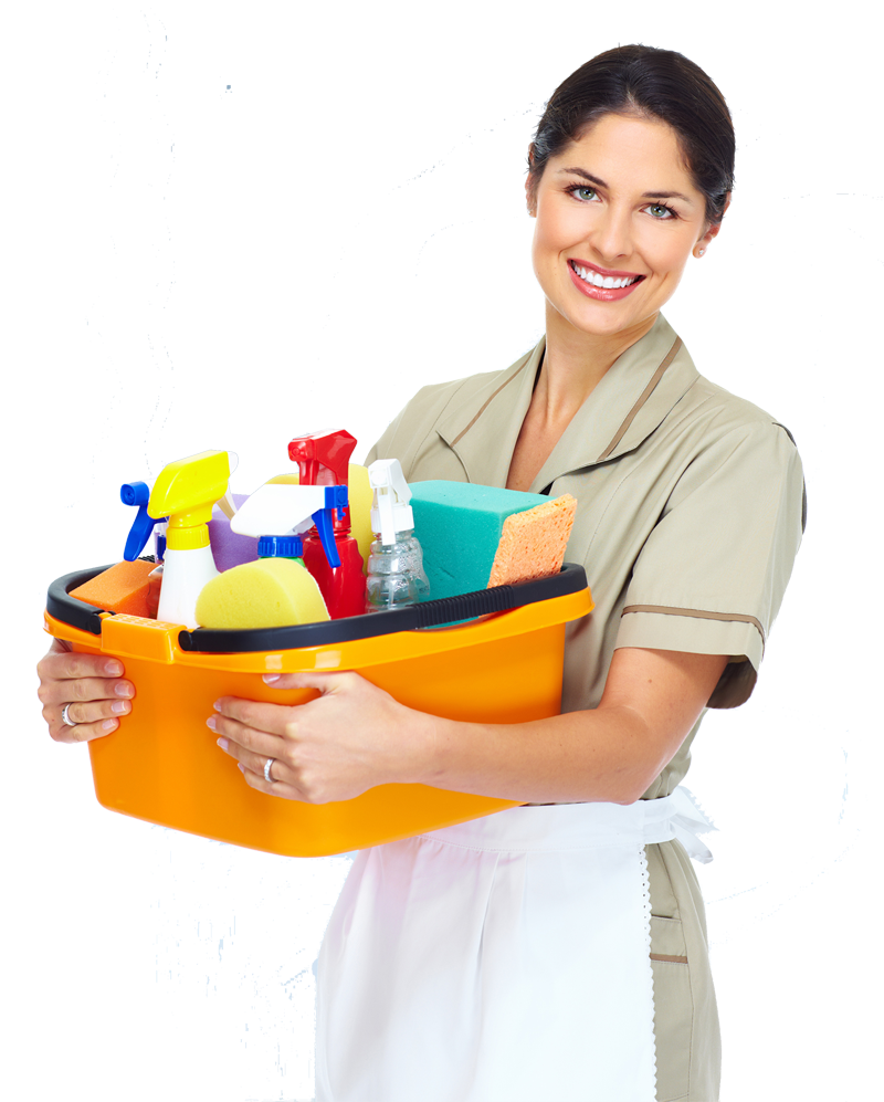 About Lena Clean care